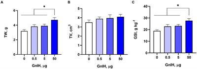 Dual effects of gonadotropin-inhibitory hormone on testicular development in prepubertal Minxinan Black rabbits (Oryctolagus cuniculus)